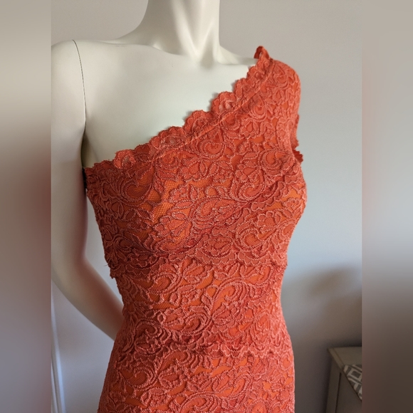 Lace Dress - Picture 2 of 5